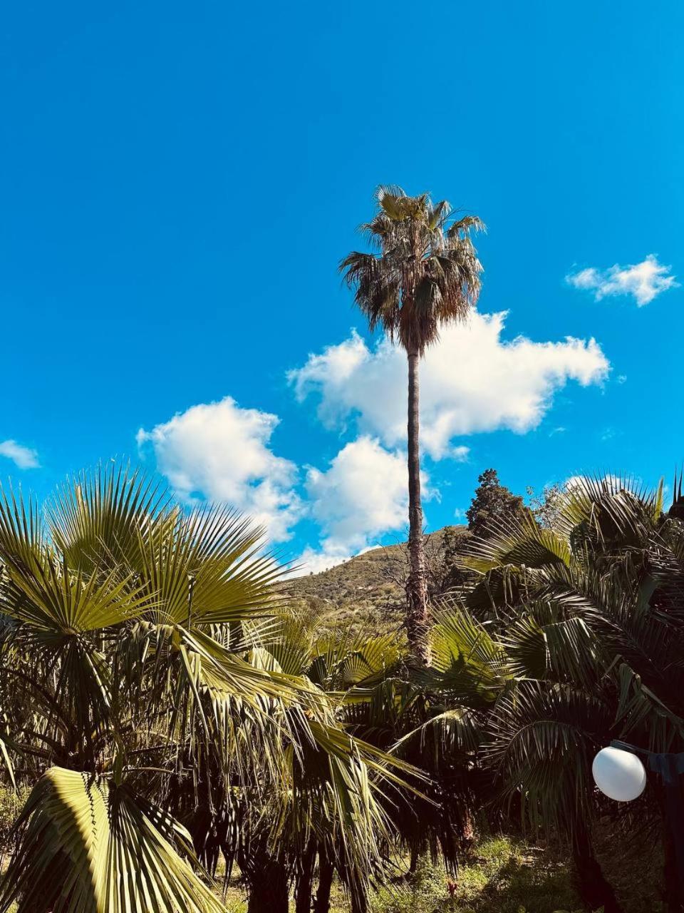 Villa Tiche Cefalù Exteriér fotografie