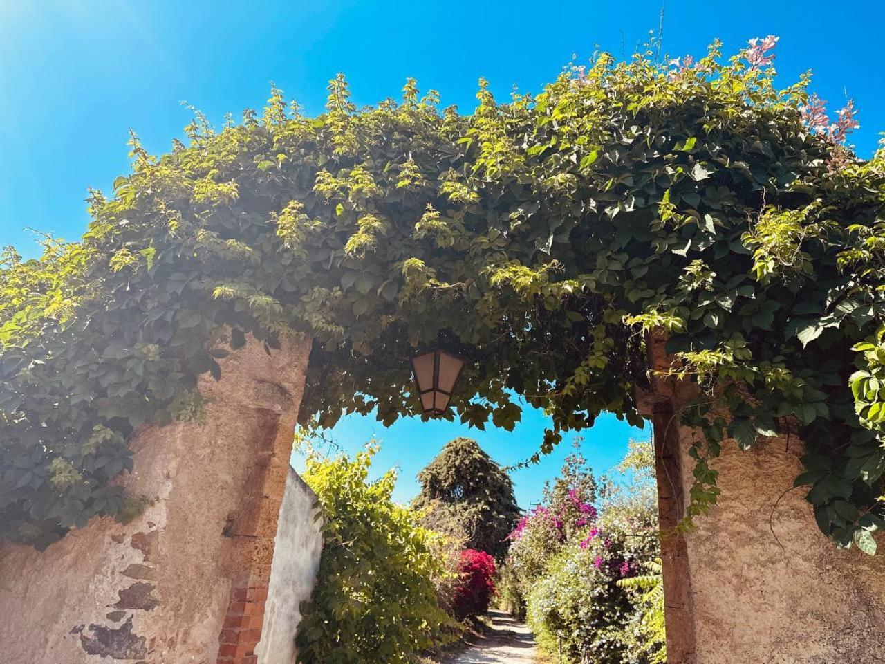 Villa Tiche Cefalù Exteriér fotografie