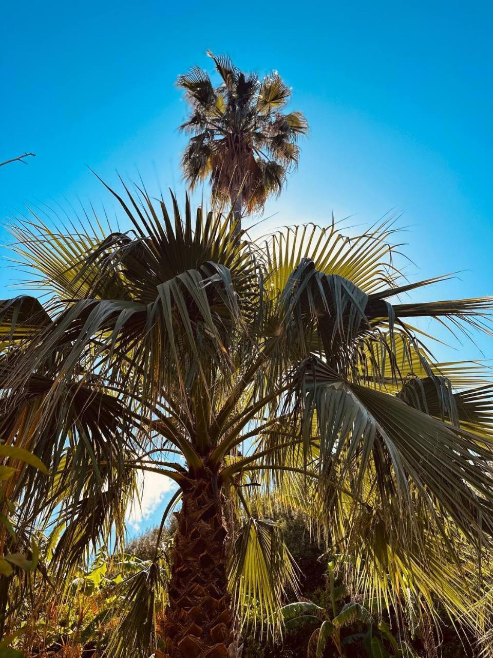 Villa Tiche Cefalù Exteriér fotografie