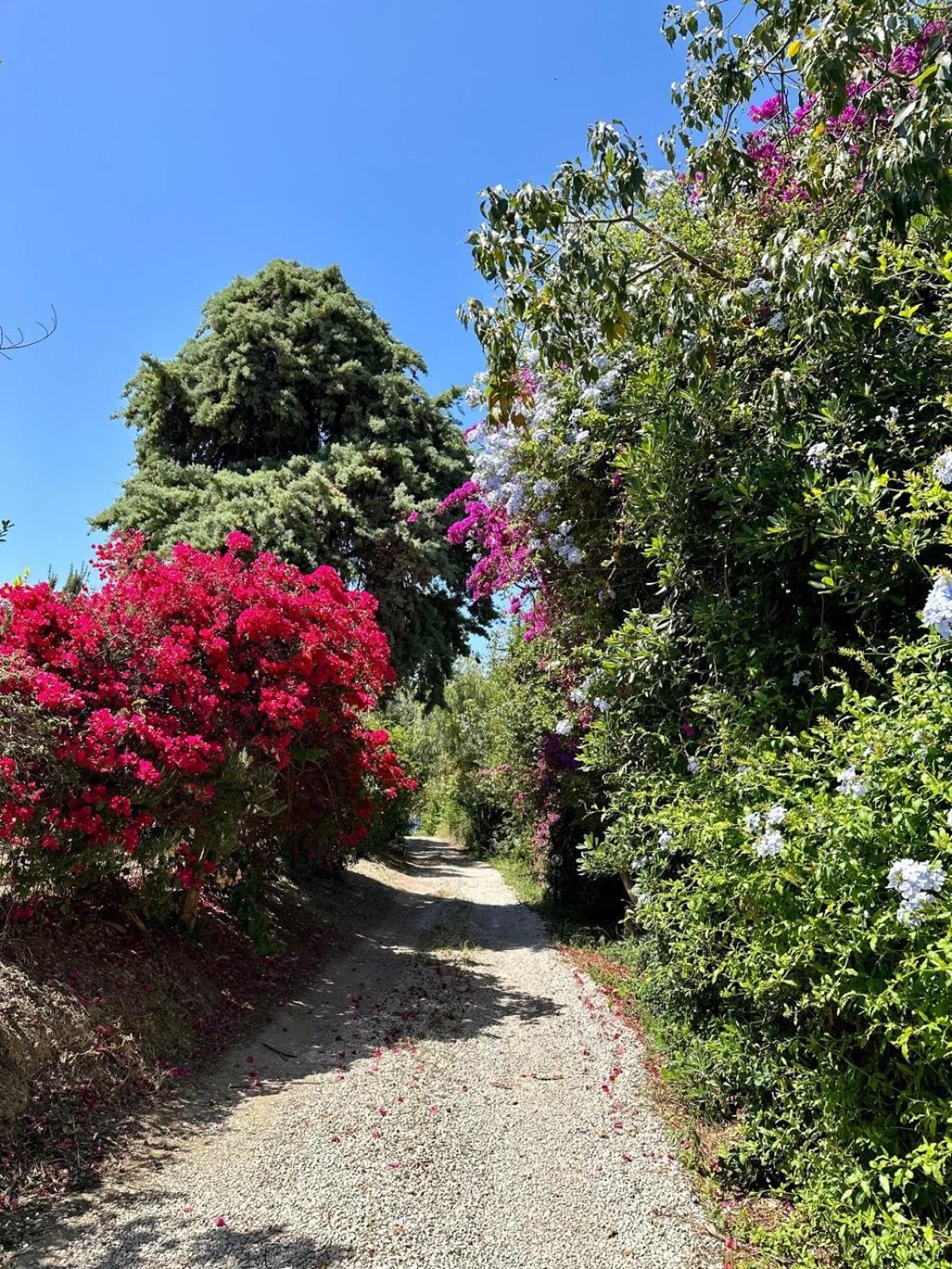 Villa Tiche Cefalù Exteriér fotografie